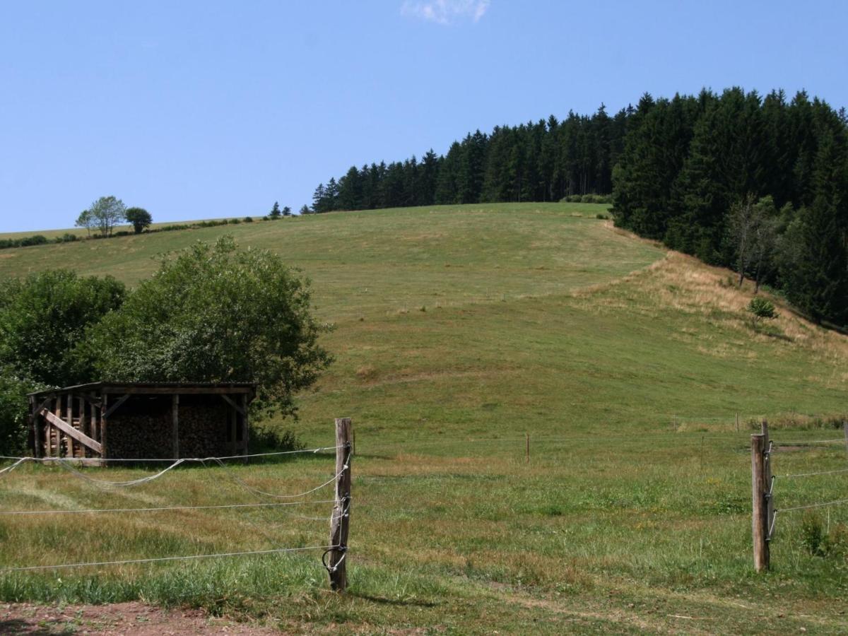 Converted Old Mill In St Georgen Inblack Forest Sankt Georgen im Schwarzwald Kültér fotó
